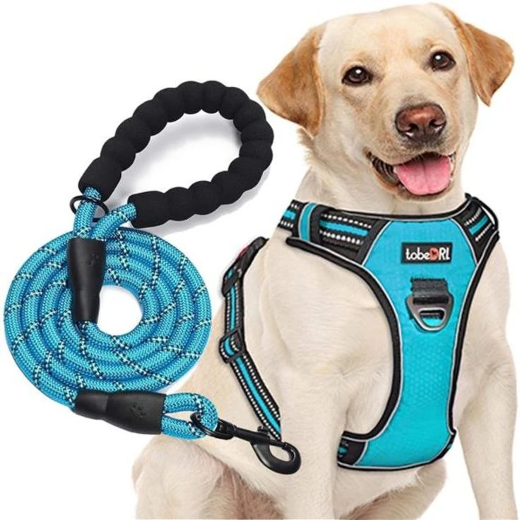 Pet Supplies